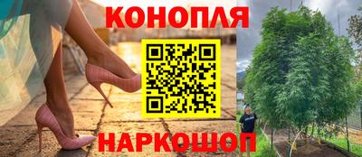 спайс Малгобек